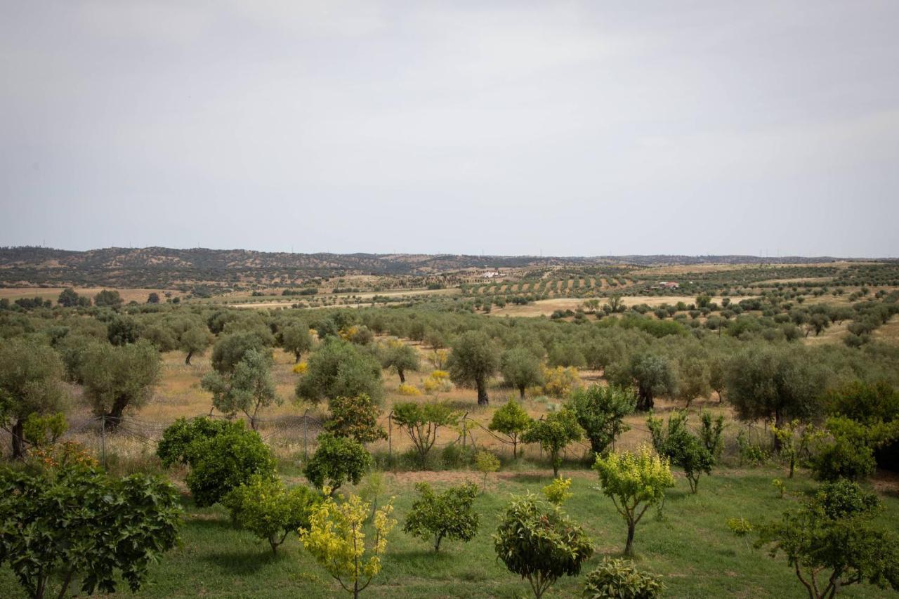 Passo Do Lobo - Turismo Rural Moura Extérieur photo